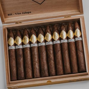 Cavalier Genève - BII Viso Jalapa